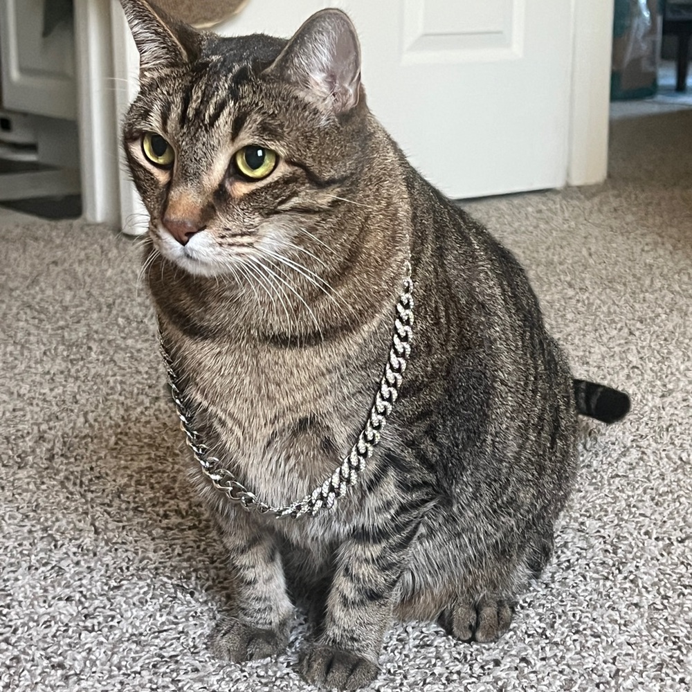 Silver Cuban Link Chain Necklace